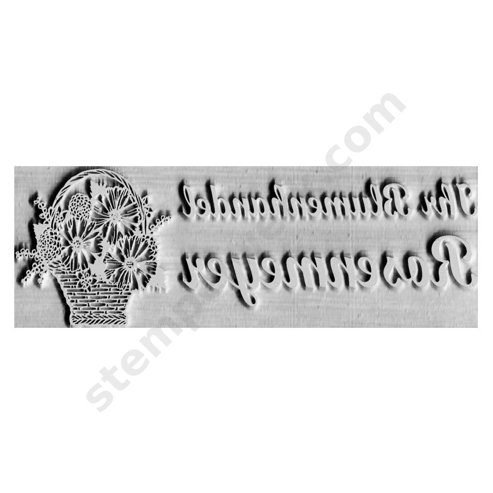 Ersatzstempelplatte Colop Printer 50  